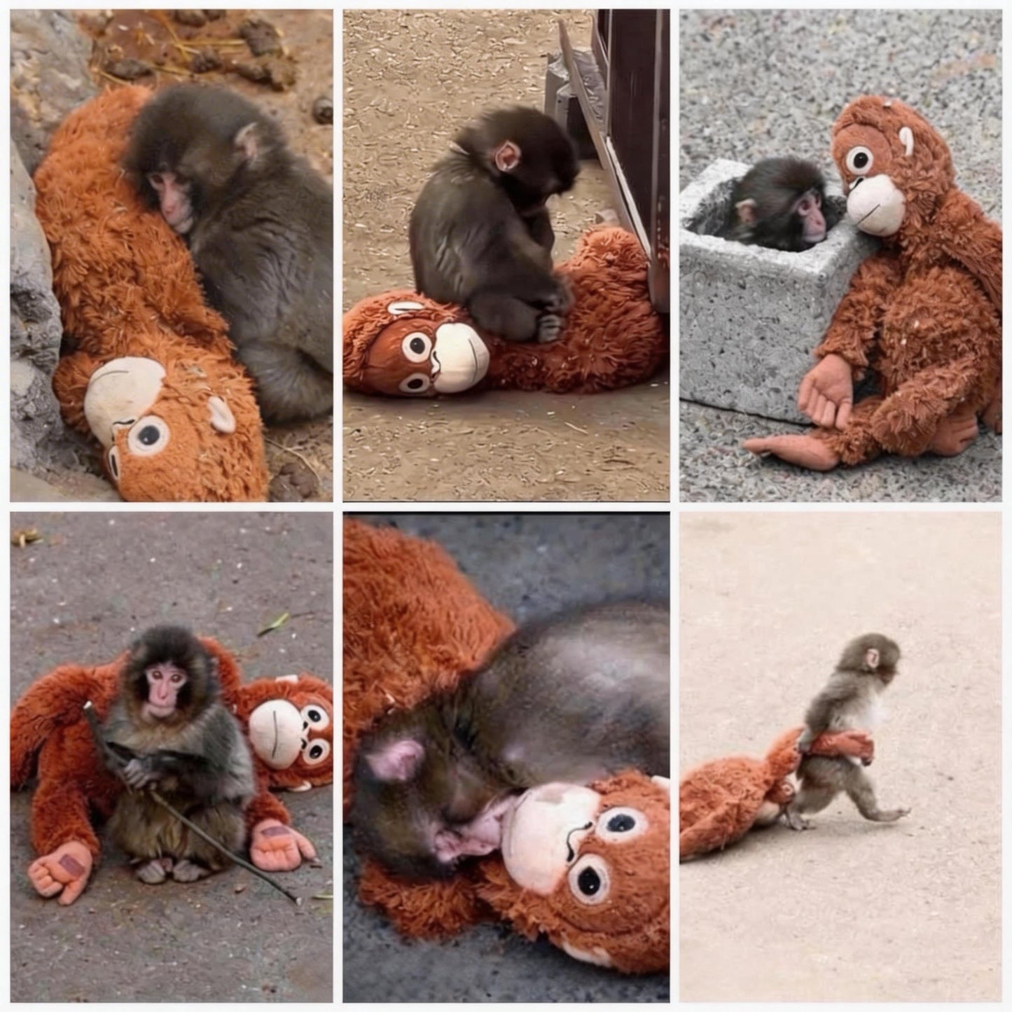 🏆Last Day 60% OFF-🪙 Emotional Support Monkey Coin🐒 for Animal Lovers, Family, Friends, Loved Ones