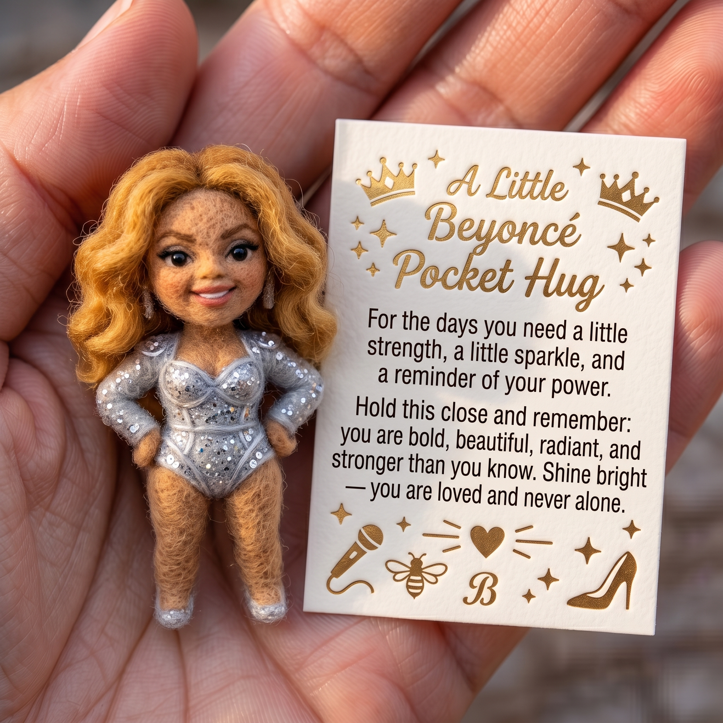 Beyoncé Felt Pocket Hug Set